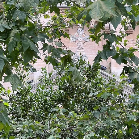 Tres Bel Mourillon T2